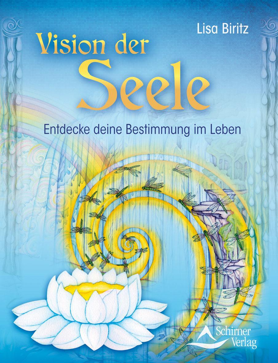 Cover: 9783843451574 | Vision der Seele | Entdecke deine Bestimmung im Leben | Lisa Biritz