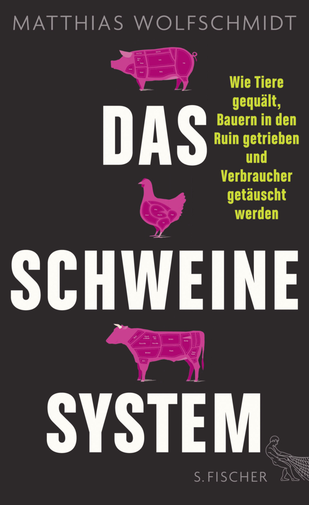 Cover: 9783100025463 | Das Schweinesystem | Matthias Wolfschmidt | Taschenbuch | 240 S.