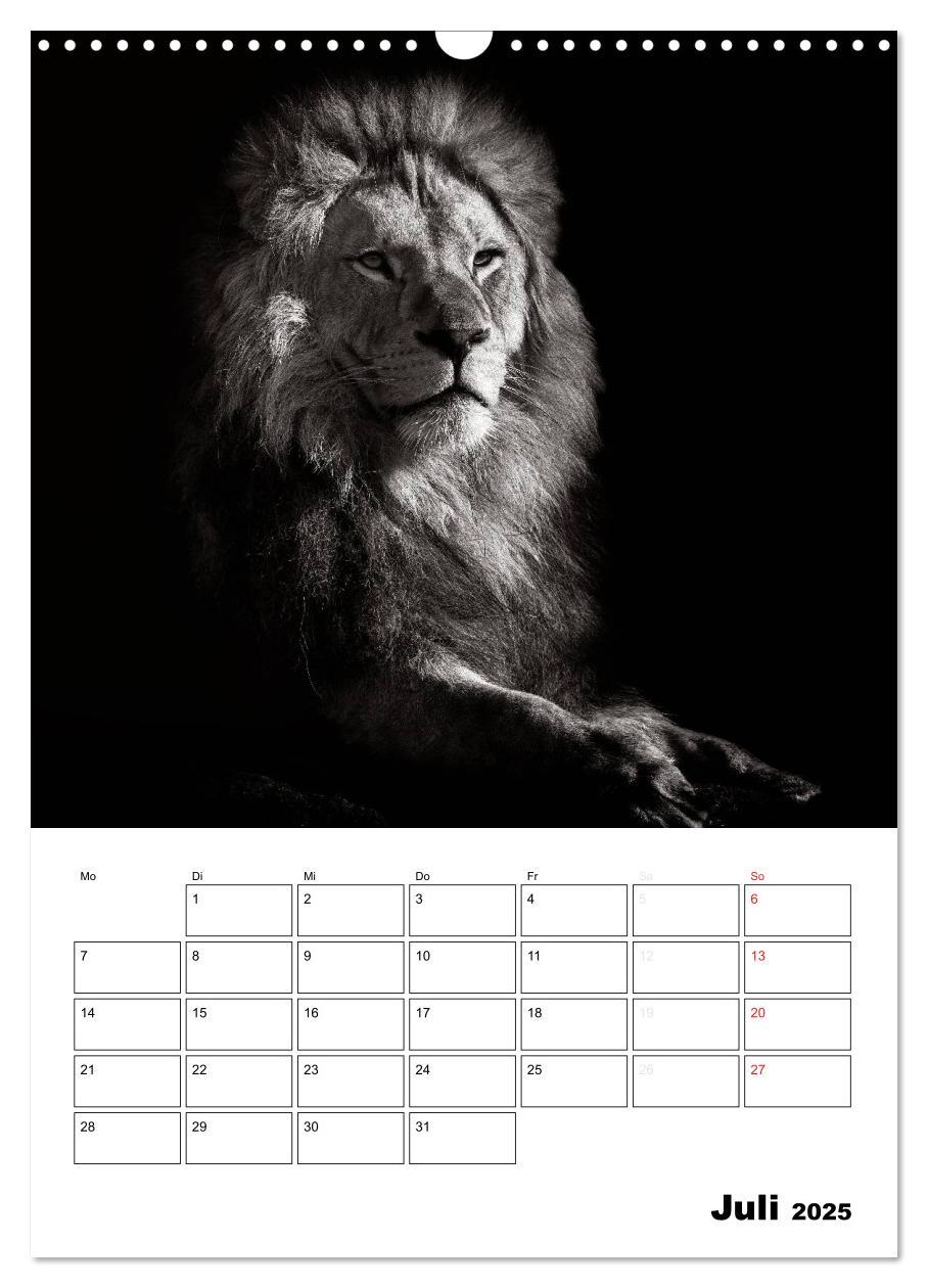 Bild: 9783457013199 | Charakterköpfe aus der Welt der Tiere (Wandkalender 2025 DIN A3...