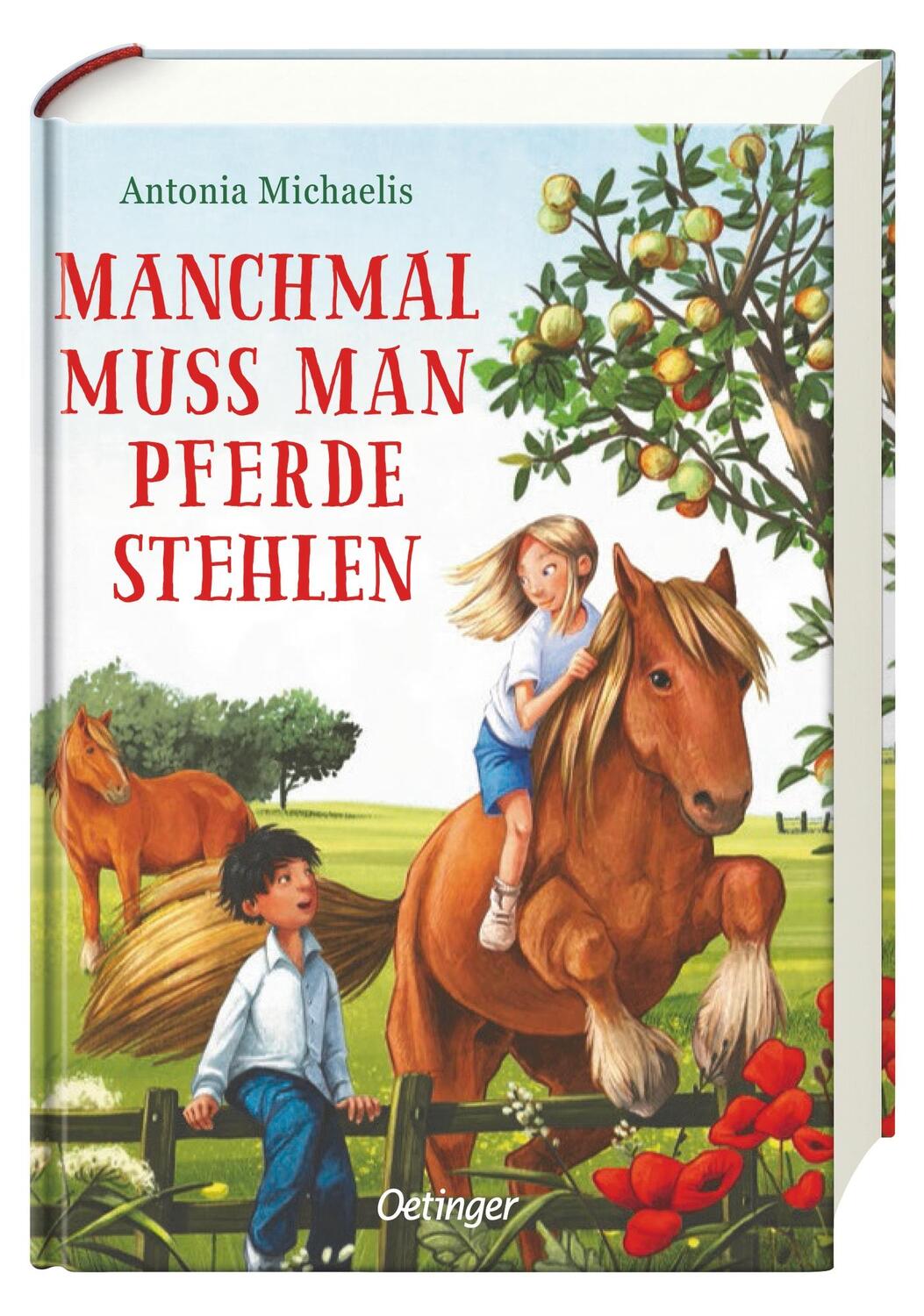 Bild: 9783751200288 | Manchmal muss man Pferde stehlen | Antonia Michaelis | Buch | 285 S.