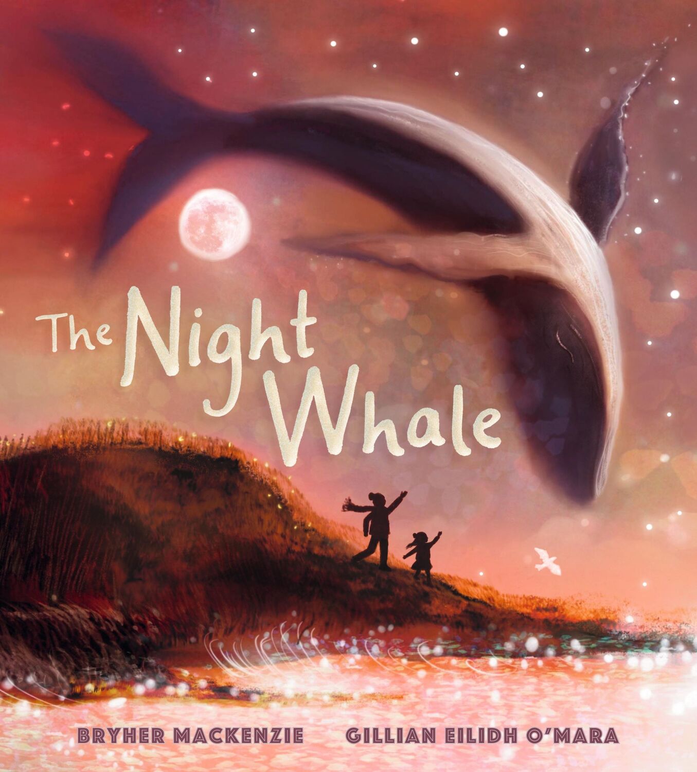 Cover: 9781529506600 | The Night Whale | Bryher Mackenzie | Buch | Englisch | 2024