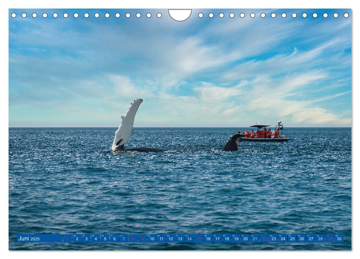 Bild: 9783435464173 | KANADA - Der maritime Osten (Wandkalender 2025 DIN A4 quer),...