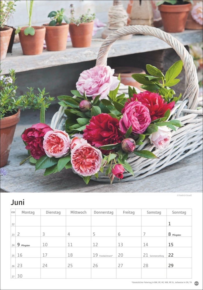 Bild: 9783756405596 | Rosenpracht Kalender 2025 | Kalender | Spiralbindung | 13 S. | Deutsch