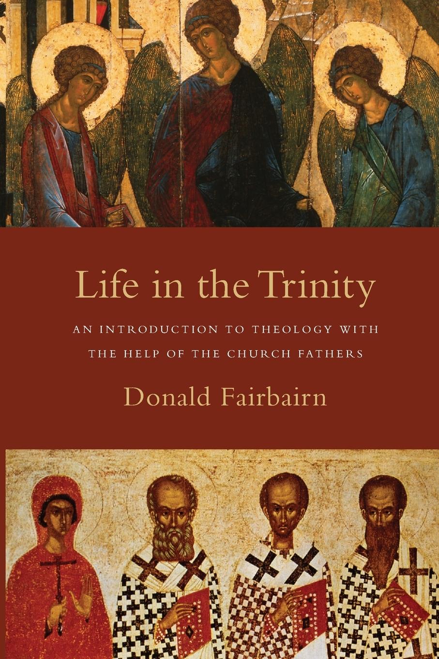 Cover: 9780830838738 | Life in the Trinity | Donald Fairbairn | Taschenbuch | Paperback