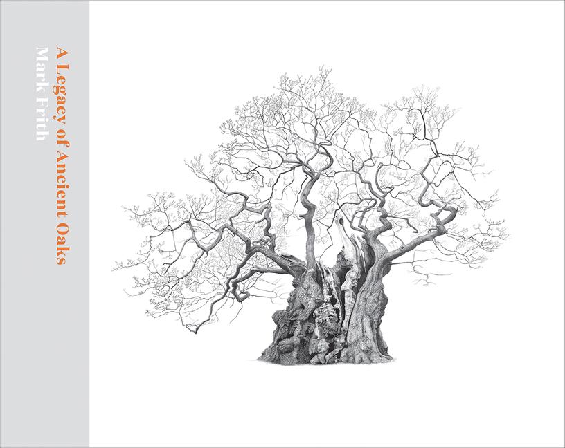 Cover: 9781842466674 | A Legacy of Ancient Oaks | Mark Frith (u. a.) | Buch | Gebunden | 2019