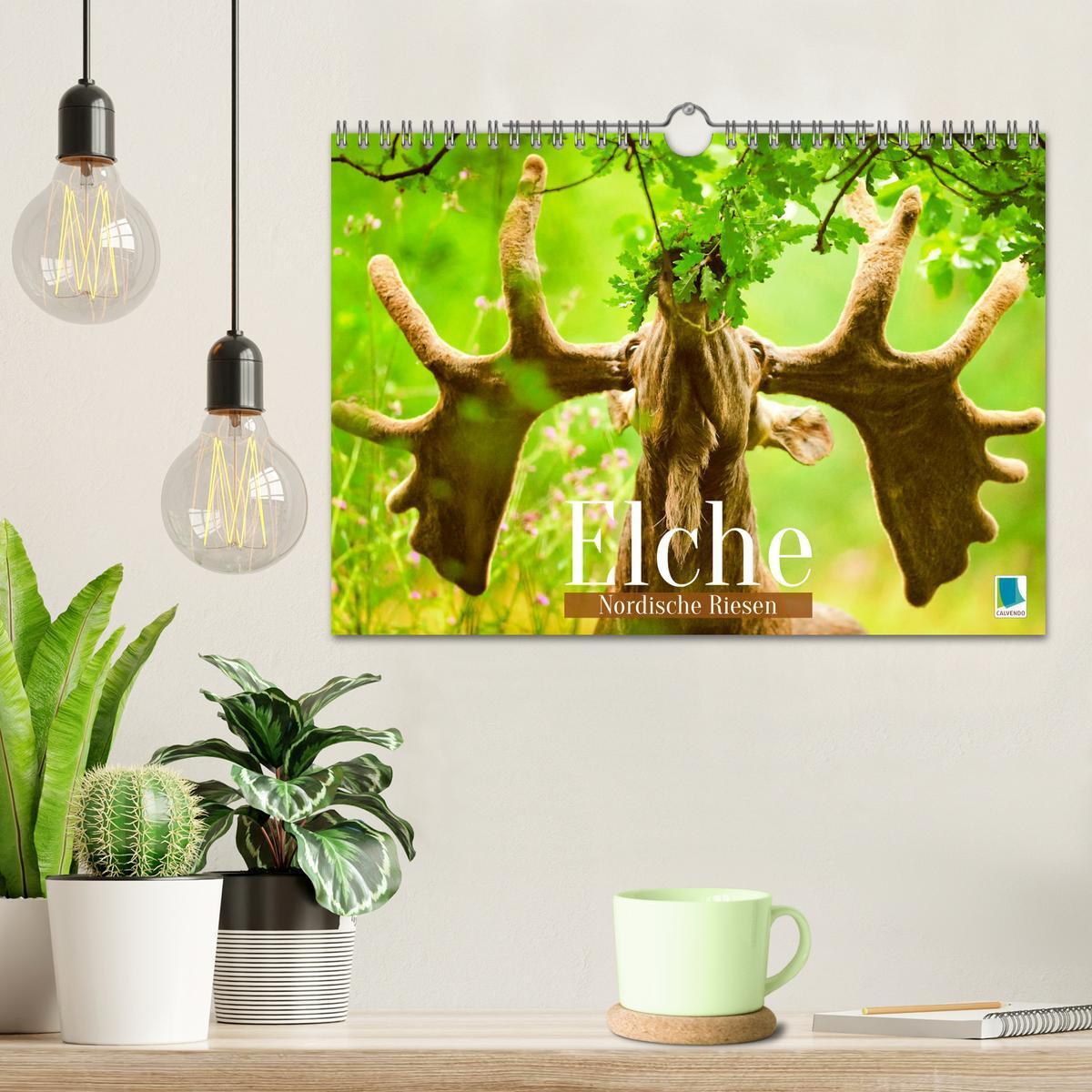 Bild: 9783457161159 | Elche: Nordische Riesen (Wandkalender 2025 DIN A4 quer), CALVENDO...