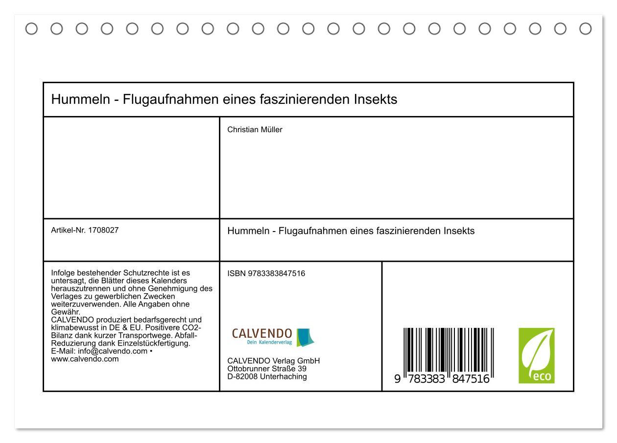 Bild: 9783383847516 | Hummeln - Flugaufnahmen eines faszinierenden Insekts (Tischkalender...