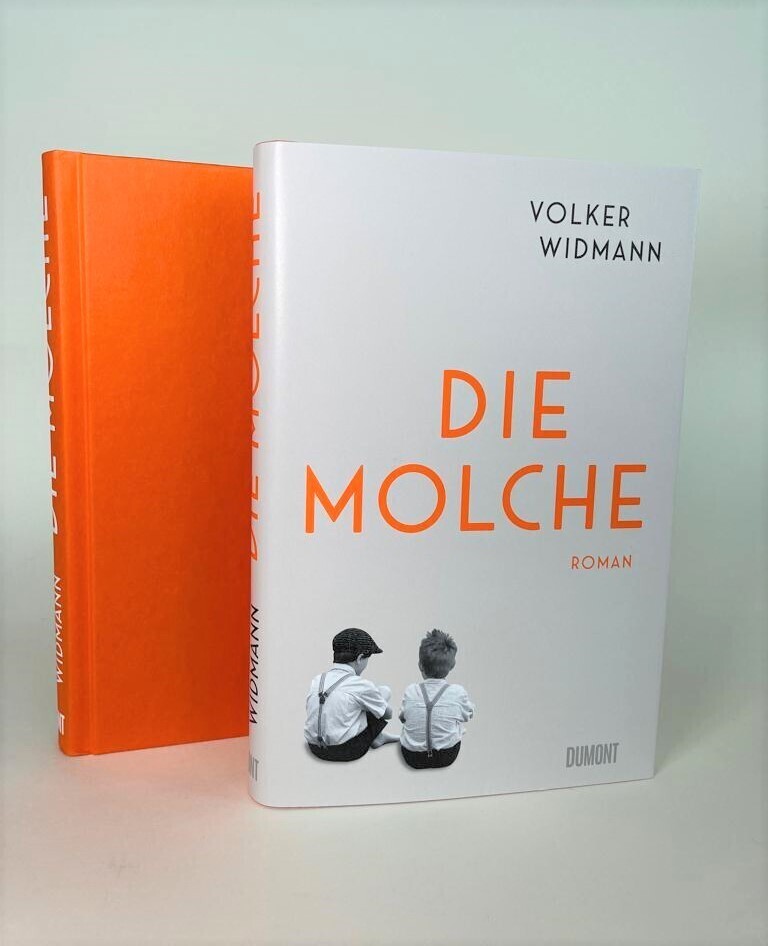 Bild: 9783832181727 | Die Molche | Roman | Volker Widmann | Buch | 256 S. | Deutsch | 2022