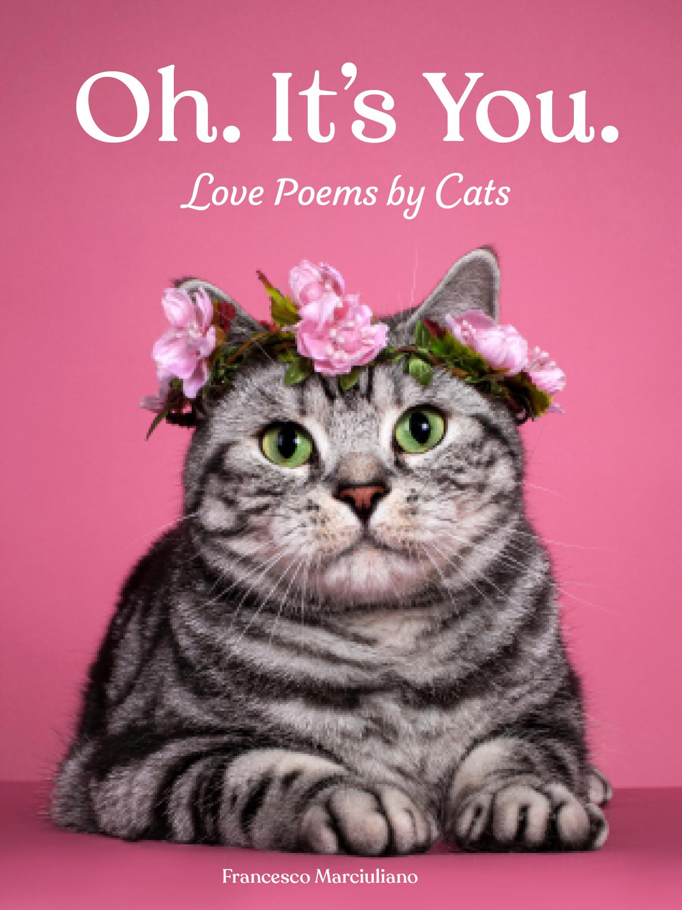 Cover: 9781797220031 | Oh. It's You. | Love Poems by Cats | Francesco Marciuliano | Buch