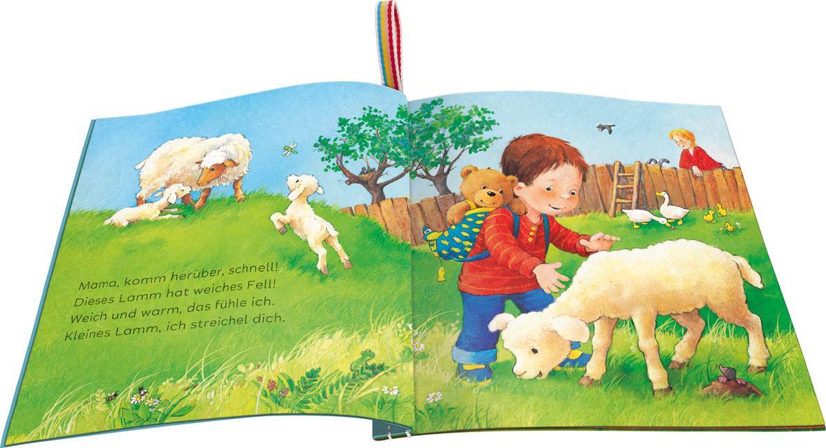 Bild: 9783473420926 | Mein Knuddel-Knautsch-Buch: Meine Tierkinder; weiches Stoffbuch,...