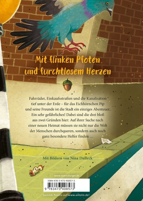 Bild: 9783473408573 | Pip und seine wilden Freunde in der Stadt | Rebecca Reed | Buch | 2022