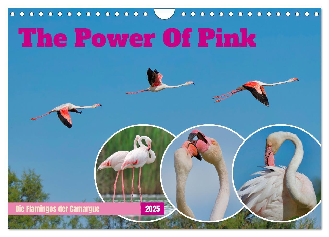 Cover: 9783457141618 | The Power Of Pink (Wandkalender 2025 DIN A4 quer), CALVENDO...