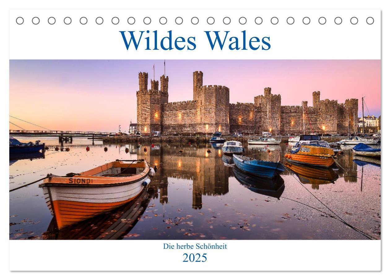 Cover: 9783435121250 | Wildes Wales (Tischkalender 2025 DIN A5 quer), CALVENDO Monatskalender