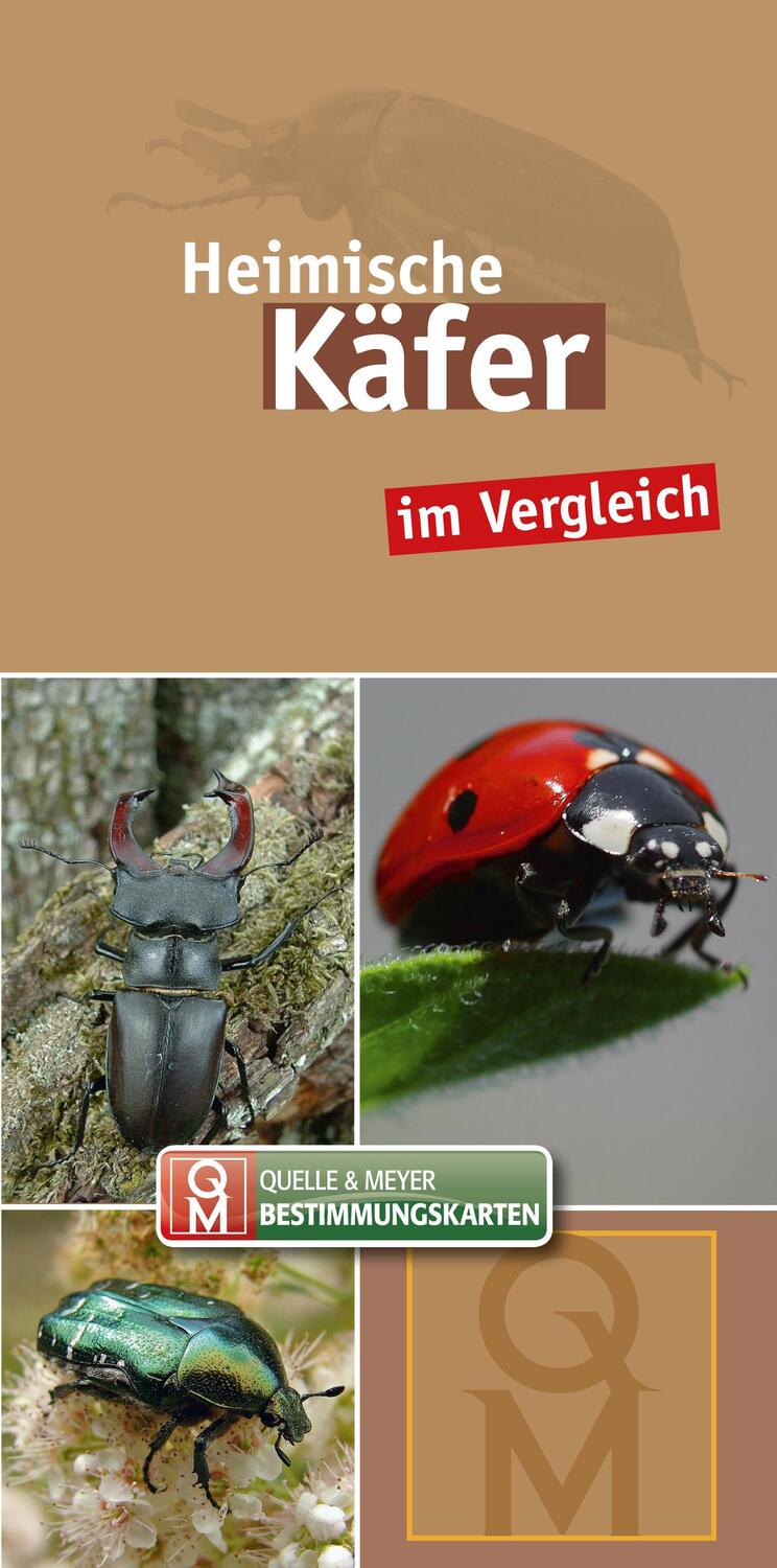 Cover: 9783494017747 | Heimische Käfer | im Vergleich | Quelle &amp; Meyer Verlag | Stück | 8 S.