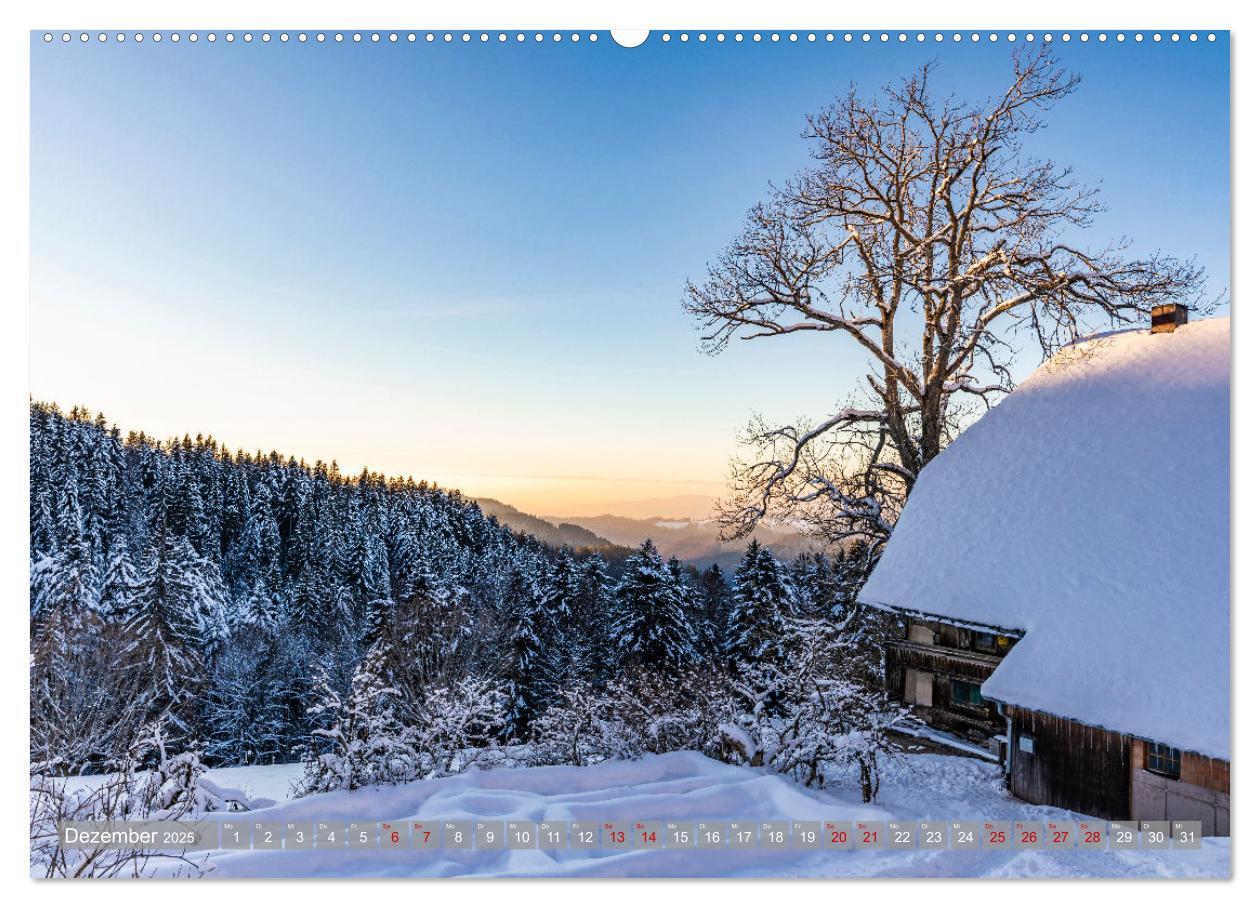 Bild: 9783435076390 | Ein Jahr im Schwarzwald (Wandkalender 2025 DIN A2 quer), CALVENDO...