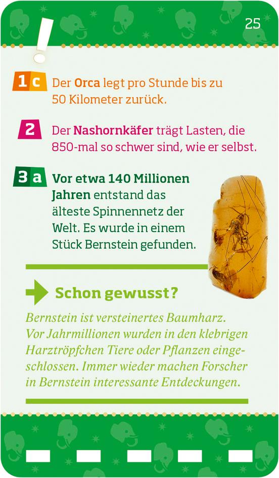 Bild: 9783788676834 | WAS IST WAS Quiz Rekorde der Tierwelt. | Inga Klingner | Taschenbuch