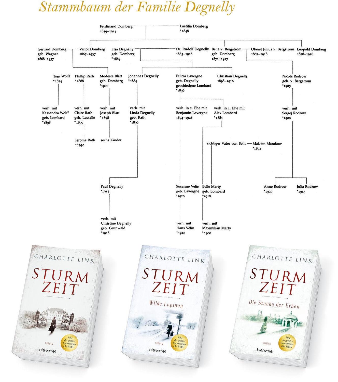 Bild: 9783734106064 | Sturmzeit - Die Stunde der Erben | Charlotte Link | Taschenbuch | 2018