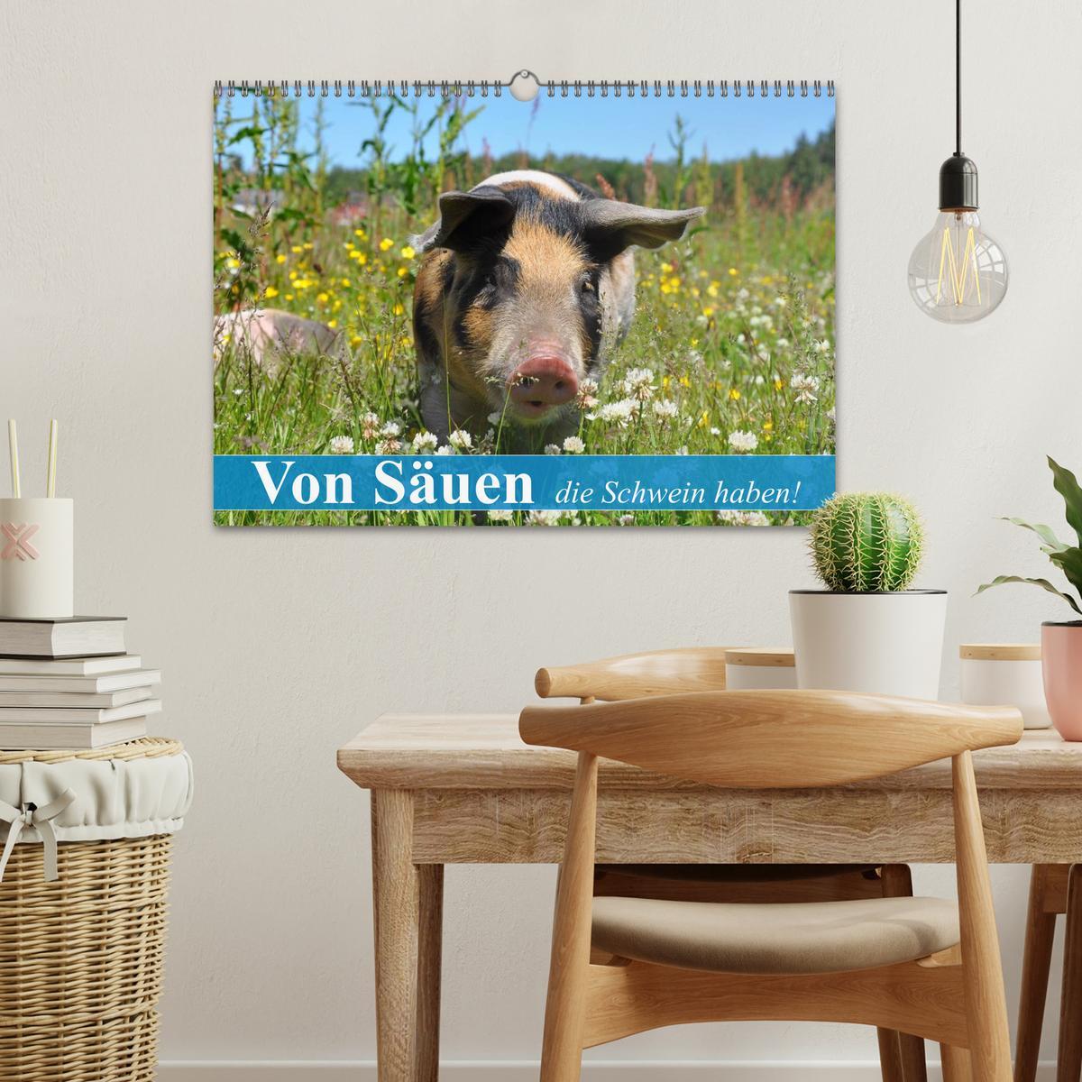 Bild: 9783435601936 | Von Säuen die Schwein haben! (Wandkalender 2025 DIN A3 quer),...