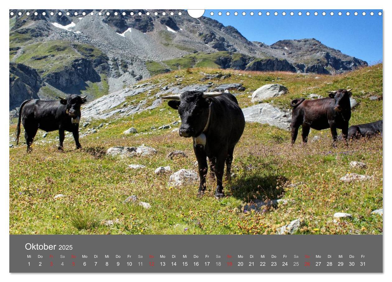 Bild: 9783435611539 | Wallis. Perle der Schweiz (Wandkalender 2025 DIN A3 quer), CALVENDO...