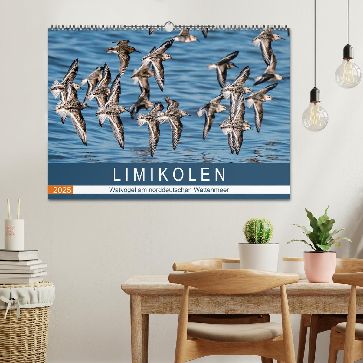 Bild: 9783435118182 | Limikolen - Watvögel am norddeutschen Wattenmeer (Wandkalender 2025...