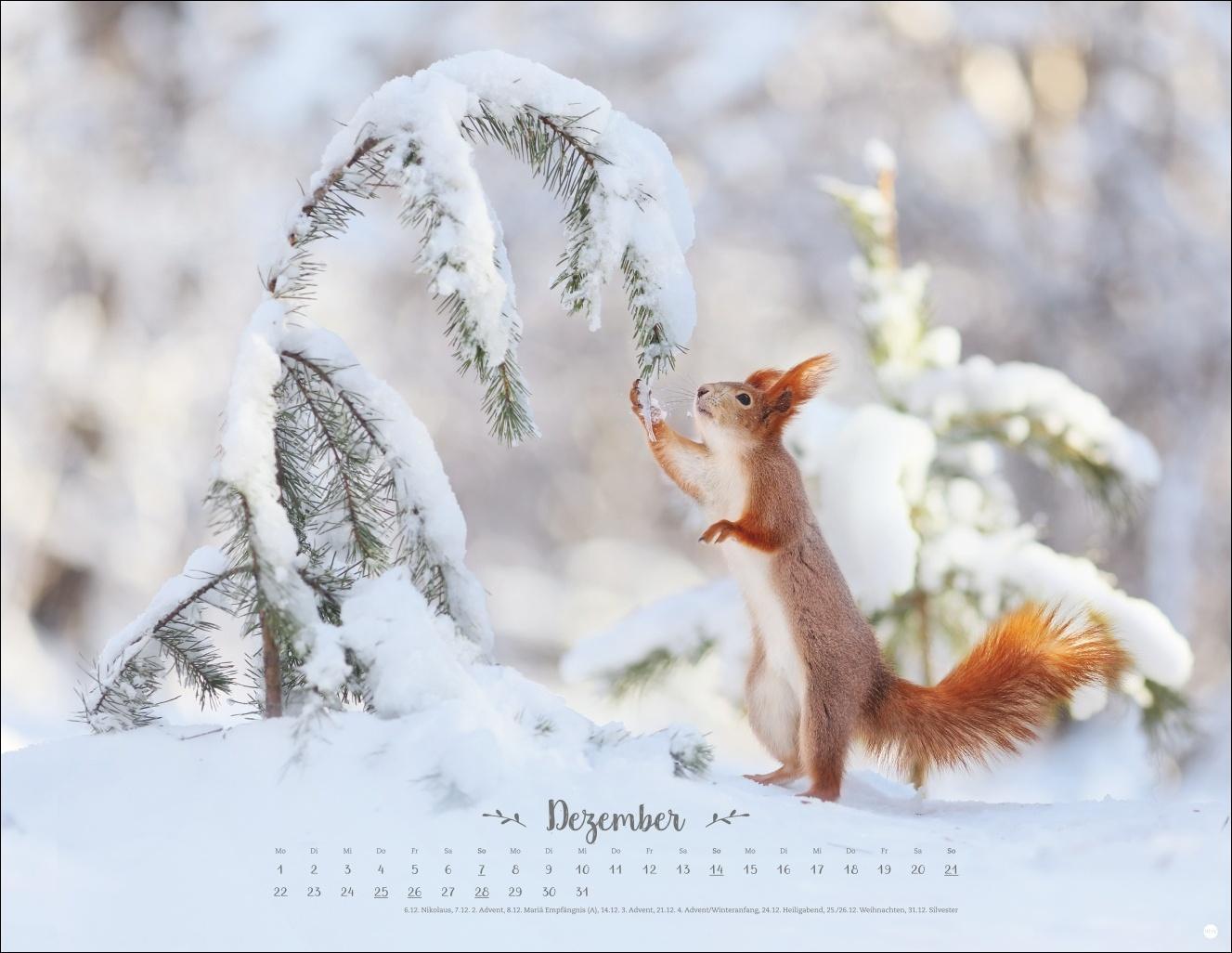 Bild: 9783756405183 | Vadim Trunov: Märchenhaftes Waldleben Posterkalender 2025 | Kalender