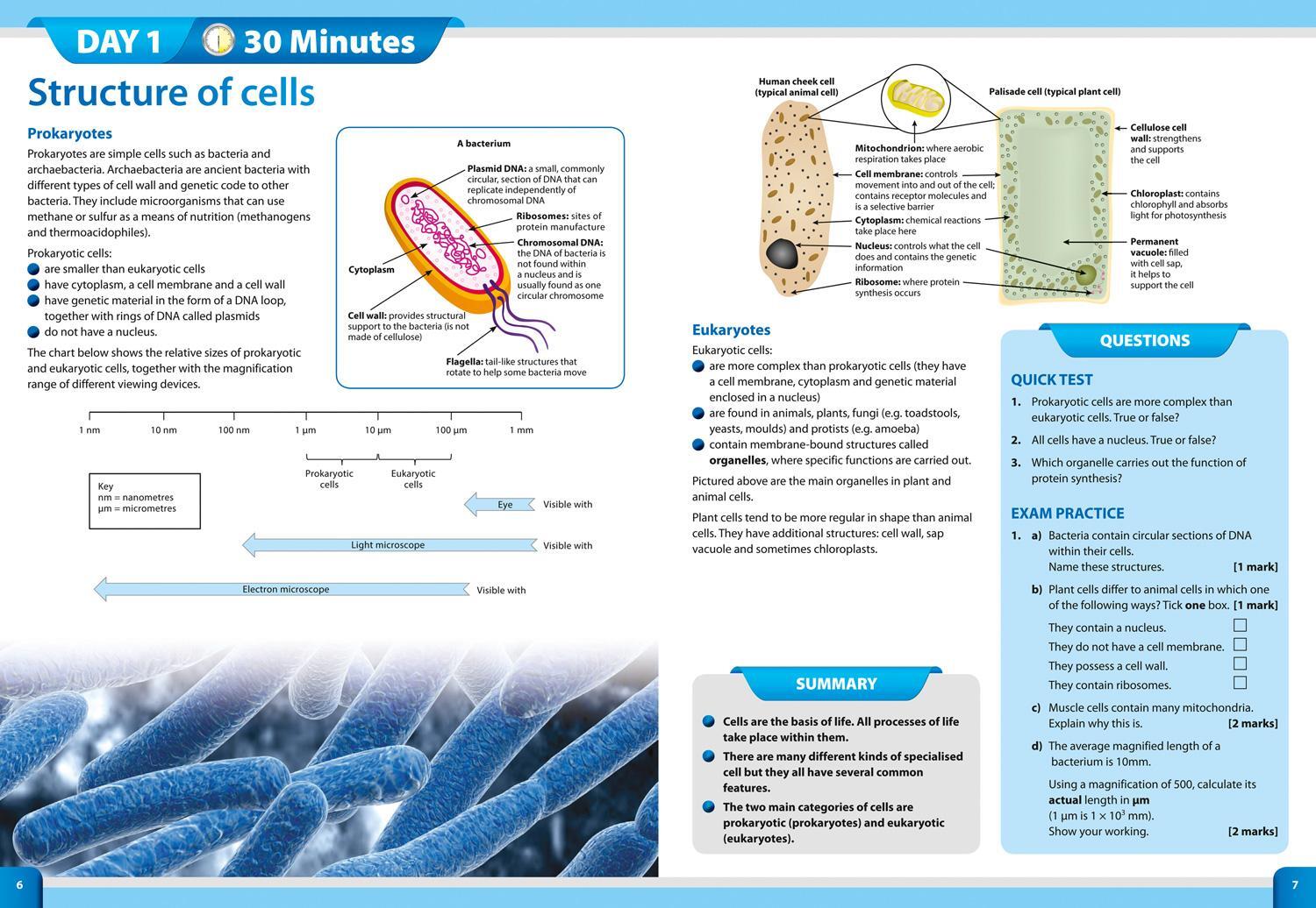 Bild: 9780008276072 | GCSE 9-1 Combined Science In Two Weeks | Collins Gcse | Taschenbuch