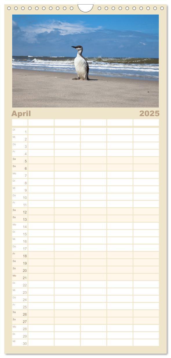 Bild: 9783457098189 | Familienplaner 2025 - Moin Spiekeroog mit 5 Spalten (Wandkalender,...