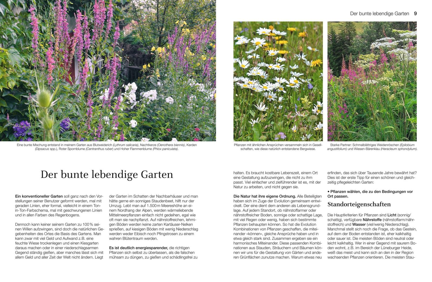 Bild: 9783967470048 | Welche Pflanze passt wohin im Naturgarten? | Paula Polak | Buch | 2020