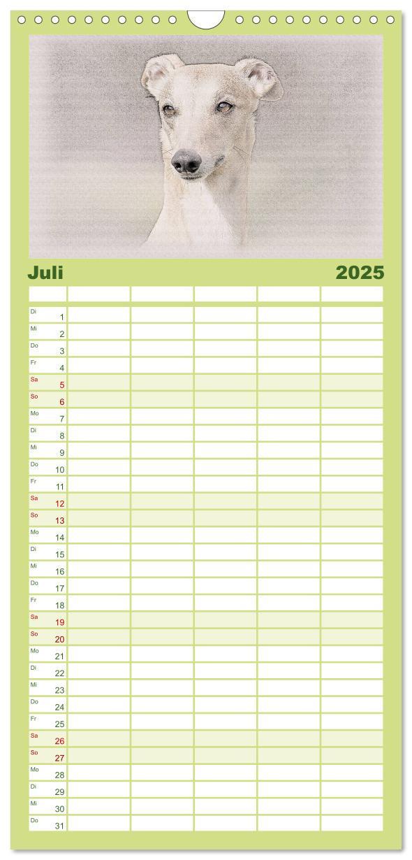 Bild: 9783457121146 | Familienplaner 2025 - Whippet 2025 mit 5 Spalten (Wandkalender, 21...