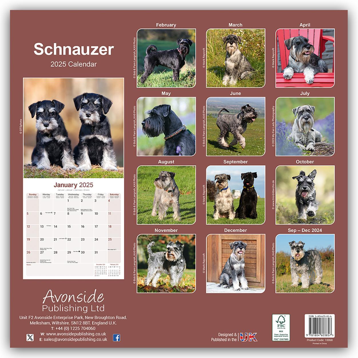 Rückseite: 9781804603857 | Schnauzer - Schnauzer 2025 - 16-Monatskalender | Ltd | Kalender | 2025