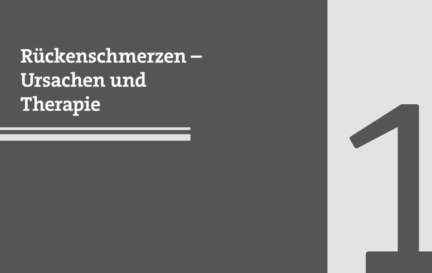 Bild: 9783742318657 | 50 Workouts gegen Rückenschmerzen | Ronald Thomschke | Taschenbuch