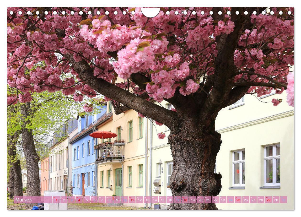 Bild: 9783435071227 | Werder (Havel) - Die Altstadtinsel (Wandkalender 2025 DIN A4 quer),...