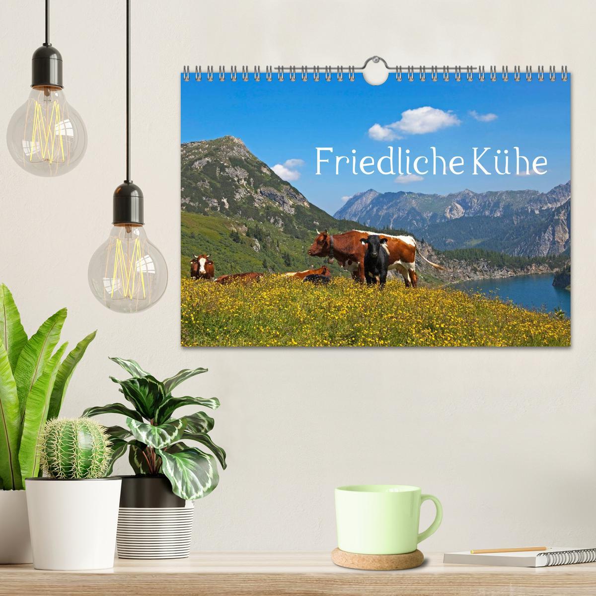 Bild: 9783435536498 | Friedliche Kühe (Wandkalender 2025 DIN A4 quer), CALVENDO...