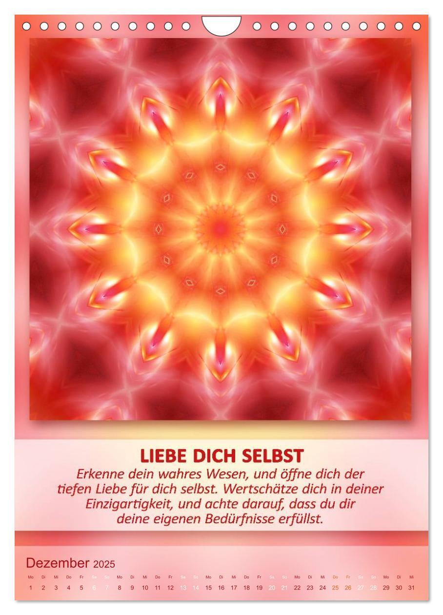 Bild: 9783457060971 | Light Energy Mandalas - Kalender - Vol. 2 (Wandkalender 2025 DIN A4...