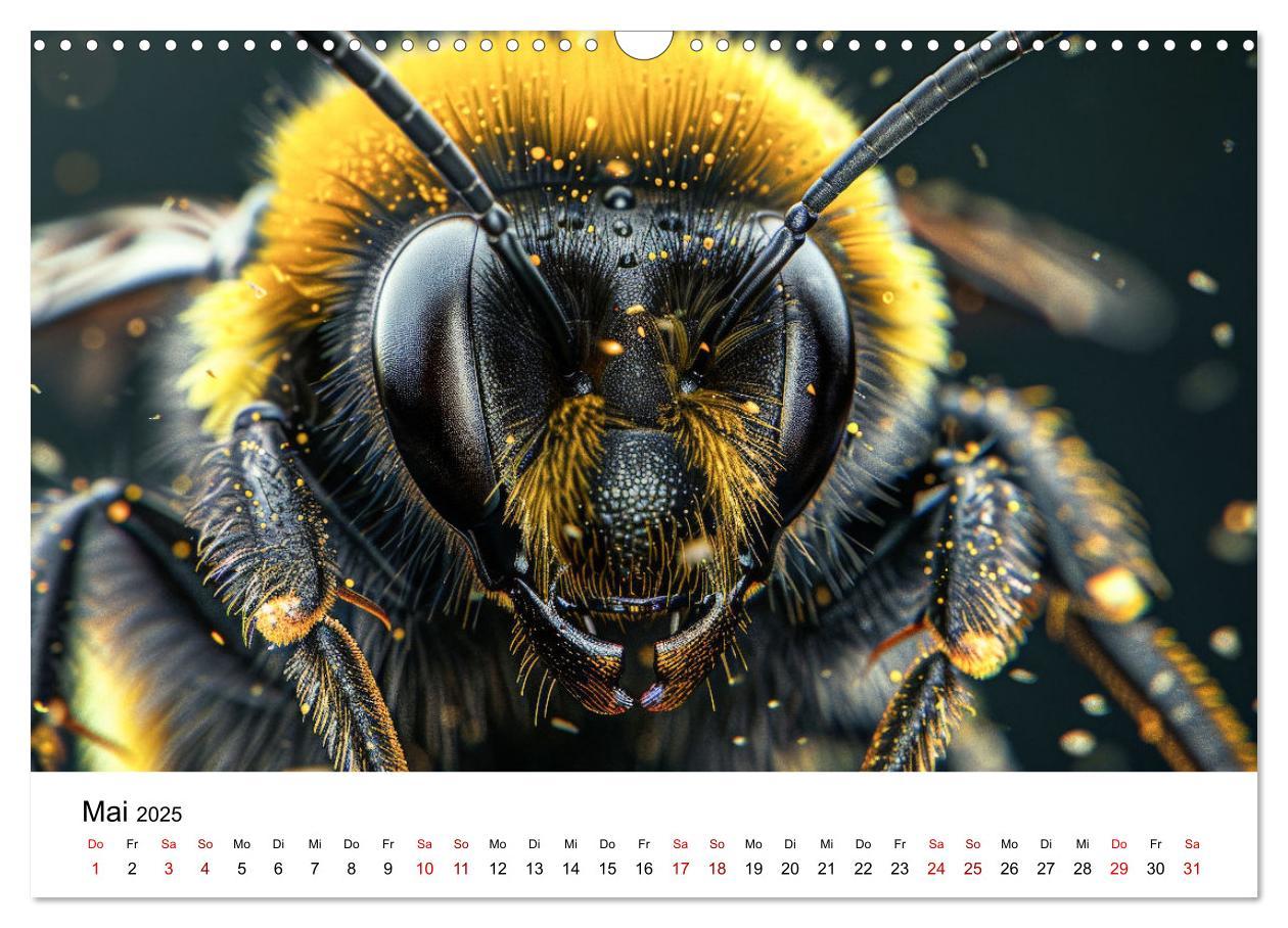 Bild: 9783383799754 | Insekten hautnah (Wandkalender 2025 DIN A3 quer), CALVENDO...