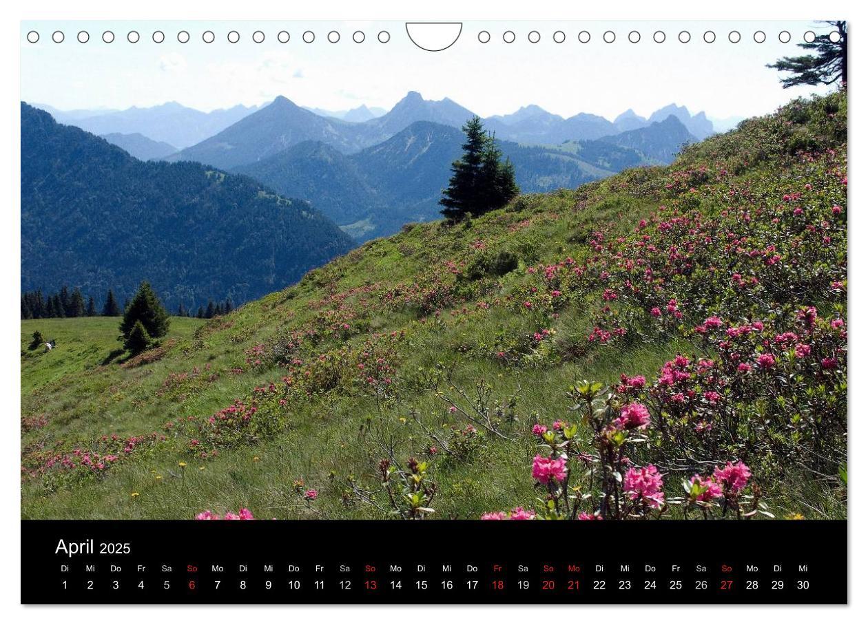 Bild: 9783435559268 | Allgäuer Impressionen (Wandkalender 2025 DIN A4 quer), CALVENDO...