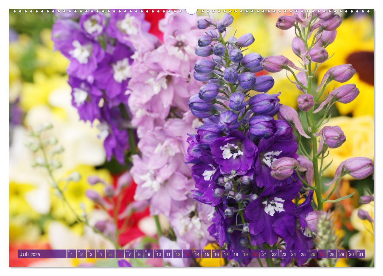 Bild: 9783383761010 | Blütenwunder - Mit Blumen durchs ganze Gartenjahr (Wandkalender...