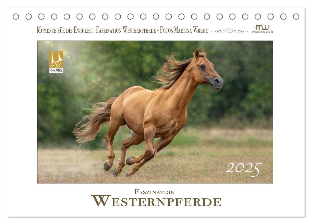 Cover: 9783435087204 | Faszination Westernpferde (Tischkalender 2025 DIN A5 quer),...