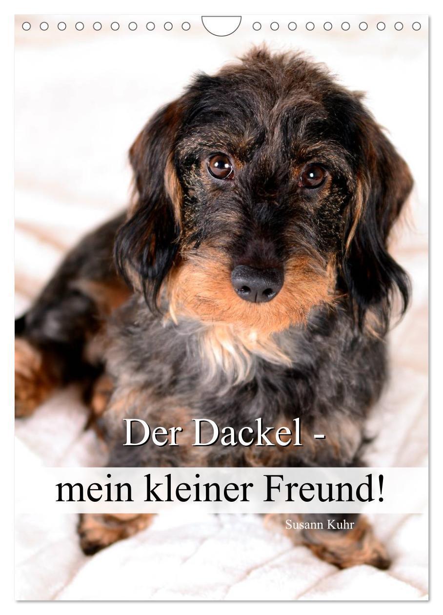 Cover: 9783457014554 | Der Dackel - mein kleiner Freund (Wandkalender 2025 DIN A4 hoch),...