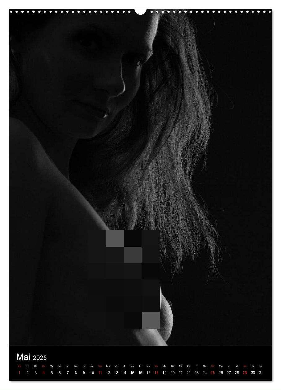 Bild: 9783457087213 | Erotische Silhouetten (Wandkalender 2025 DIN A2 hoch), CALVENDO...