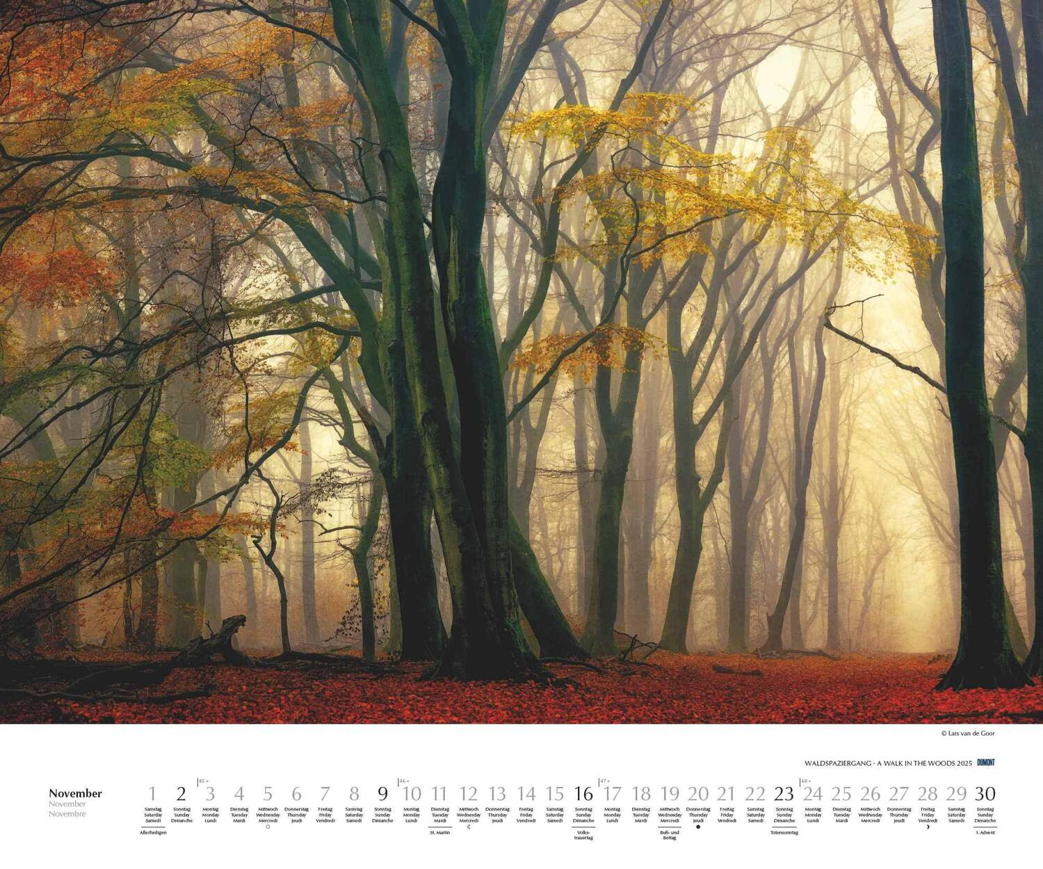 Bild: 4250809653426 | Waldspaziergang 2025 - Fotokunst-Kalender - Querformat 60 x 50 cm -...