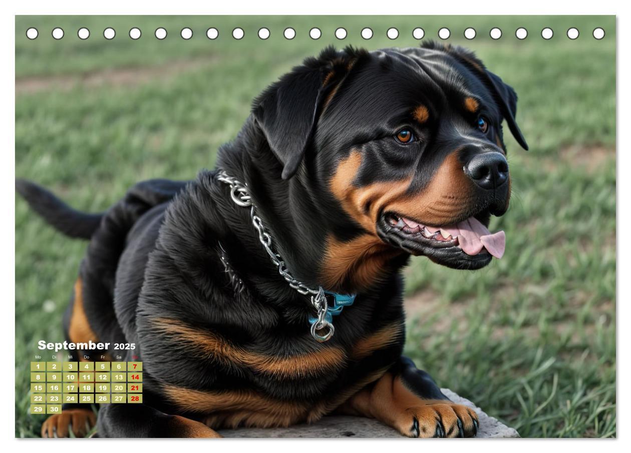 Bild: 9783383846434 | Majestätische Rottweiler: Ein Jahr voller Kraft und Loyalität...