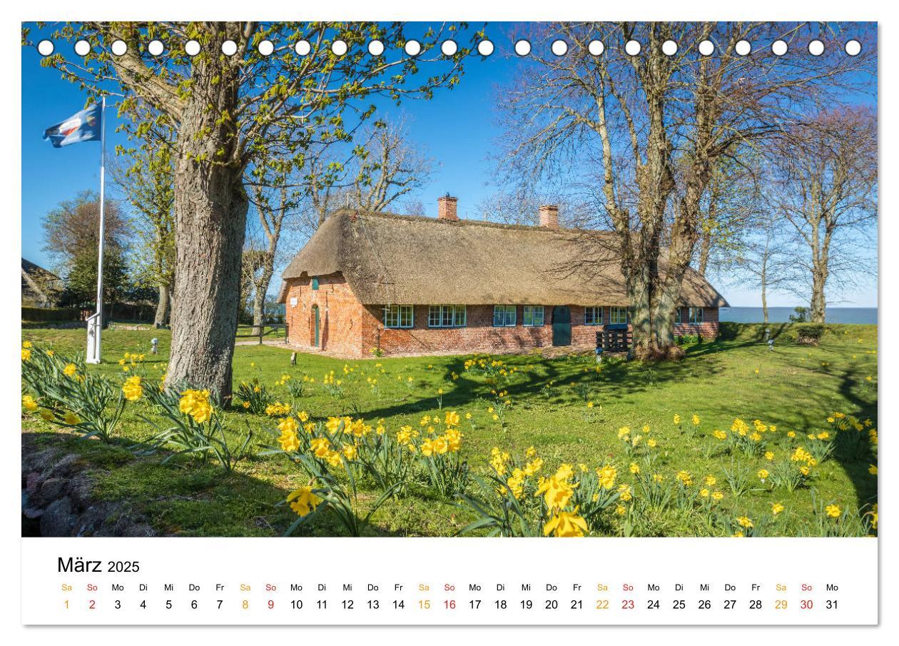 Bild: 9783435151011 | Sylter Friesenhäuser (Tischkalender 2025 DIN A5 quer), CALVENDO...