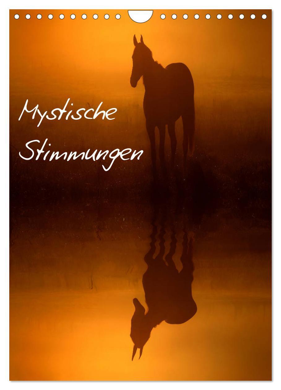 Cover: 9783457003398 | Mystische Stimmungen (Wandkalender 2025 DIN A4 hoch), CALVENDO...