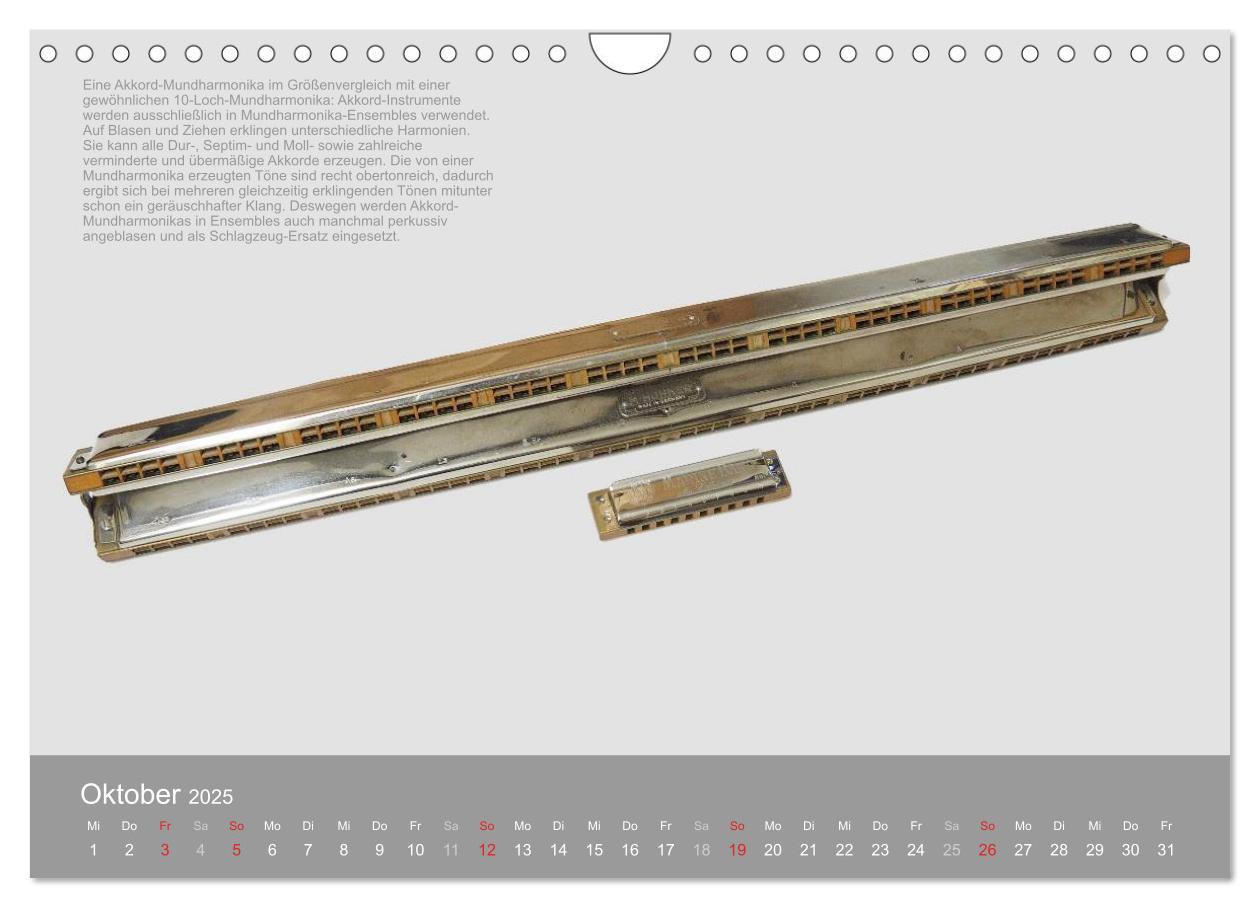 Bild: 9783435491490 | Mundharmonikas im Blickpunkt (Wandkalender 2025 DIN A4 quer),...