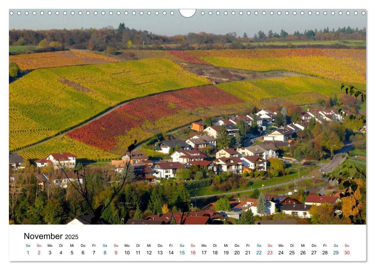 Bild: 9783435804795 | Württemberger Wein 2025 (Wandkalender 2025 DIN A3 quer), CALVENDO...