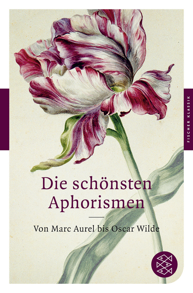 Cover: 9783596902347 | Die schönsten Aphorismen | Von Mark Aurel bis Oscar Wilde | Hesse