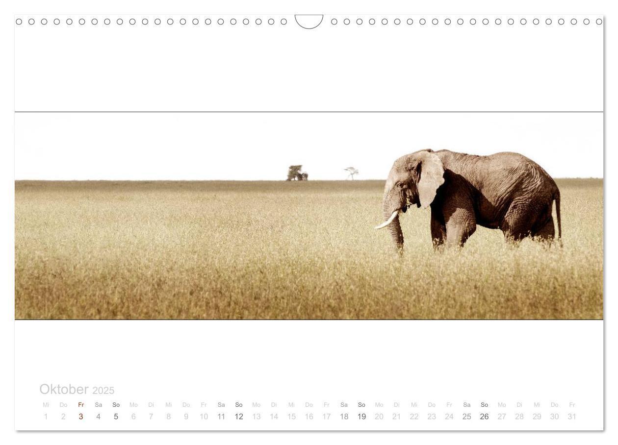 Bild: 9783435687145 | Serengeti Panorama (Wandkalender 2025 DIN A3 quer), CALVENDO...