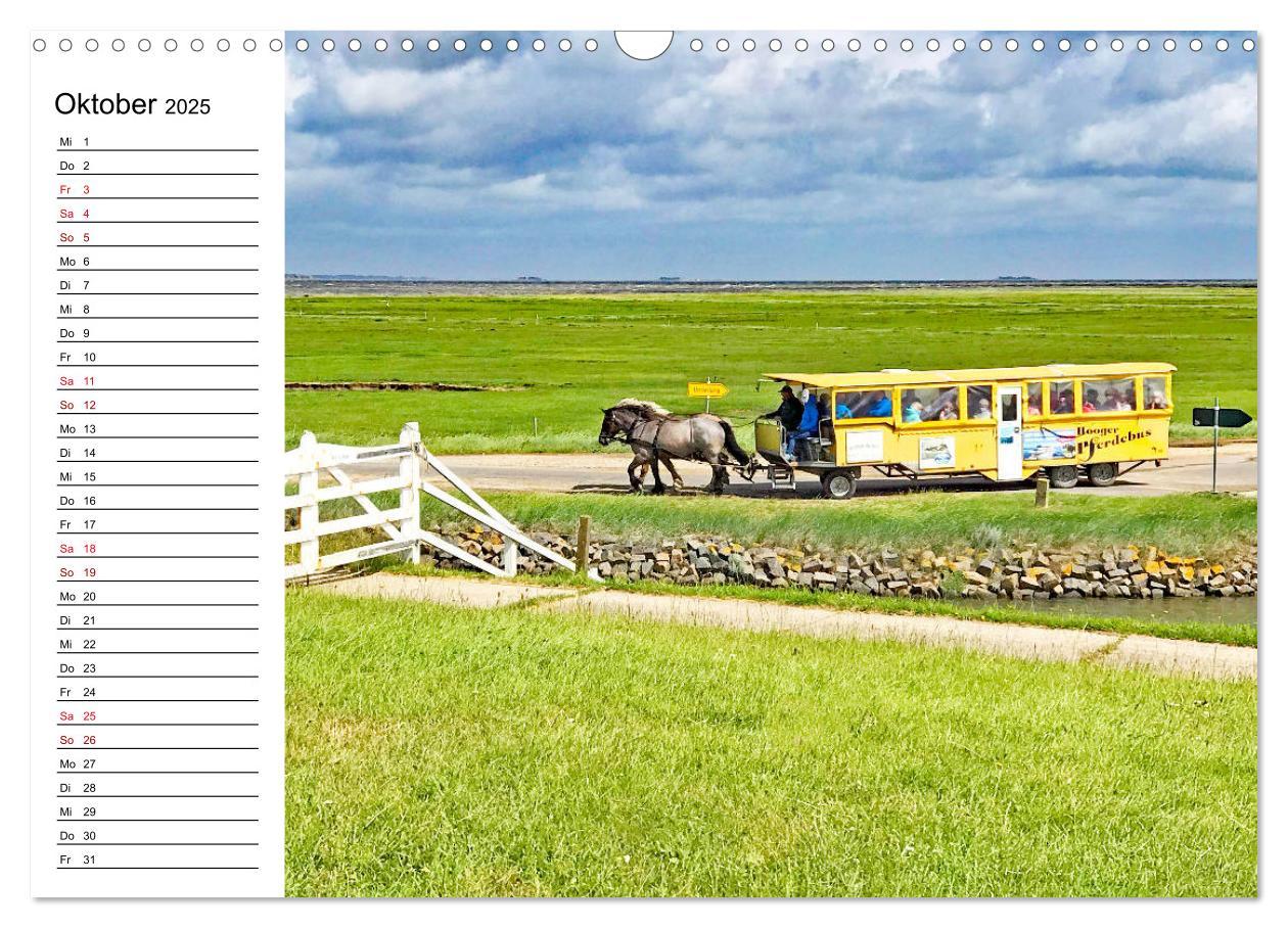 Bild: 9783435115419 | Hallig Hooge - Romantik Pur (Wandkalender 2025 DIN A3 quer),...