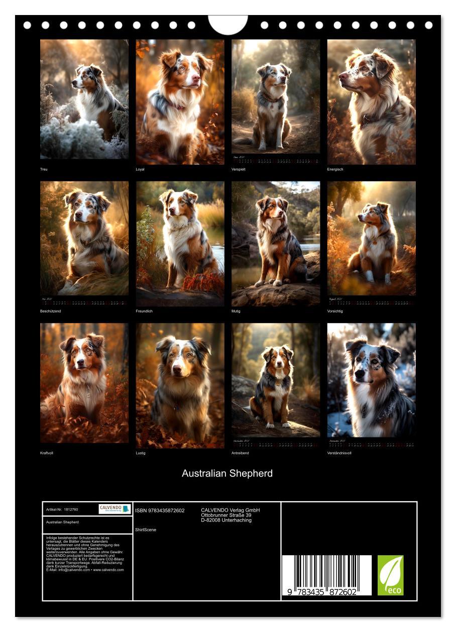 Bild: 9783435872602 | Australian Shepherd (Wandkalender 2025 DIN A4 hoch), CALVENDO...